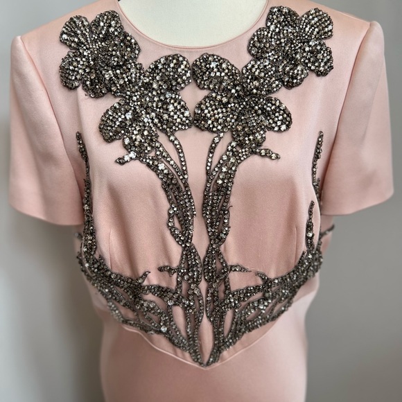 Gorgeous Alexander McQueen Gown size 48 - Picture 9 of 12